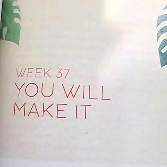 The Bible in 52 Weeks, A Yearlong Bible Study, NWOT - Picture 8 of 11